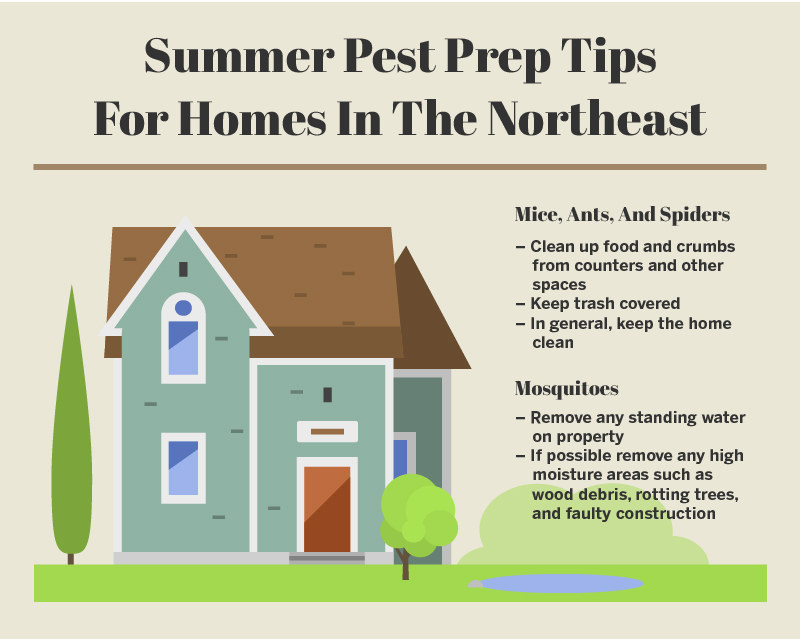 Summer Pest Prep Tips Northeast