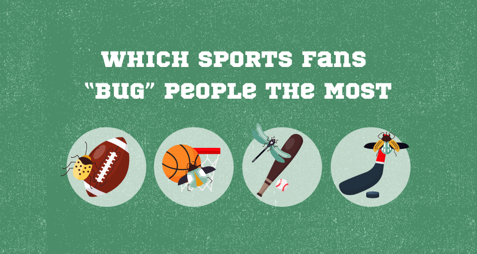 types of sports fans that "bug" people
